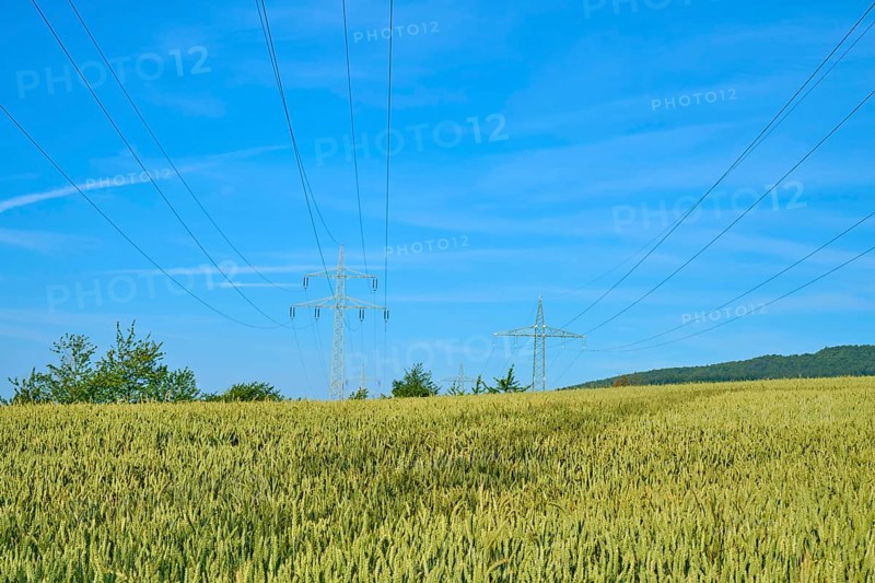 Wide wheat field under blue sky, crossed by power lines, summer, Germerode, Geo nature park Park Frau-Holle-Land, Hoher Meissner, Hesse, Germany