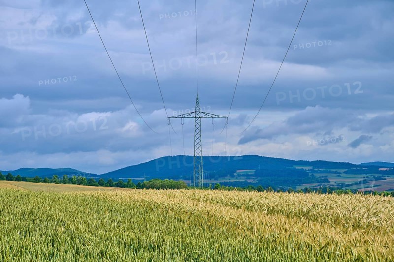 Crop field with a power pole under a cloudy sky, summer, Germerode, Geo nature park Park Frau-Holle-Land, Hoher Meissner, Hesse, Germany