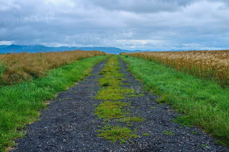 Field path under a cloudy sky in a rural setting, summer, Germerode, Geo nature park Park Frau-Holle-Land, Hoher Meissner, Hesse, Germany