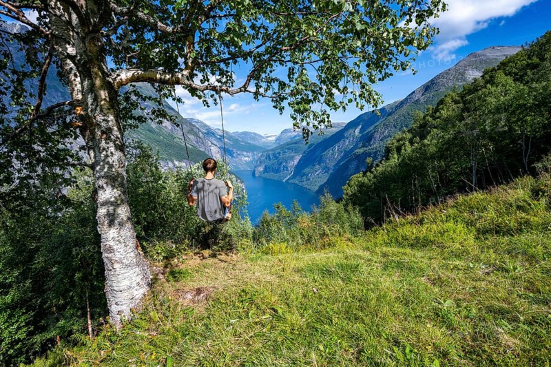 Young man swinging on a tree, view of idyllic fjord landscape of the Geirangerfjord at Blomberg Gård, near Geiranger, Møre og Romsdal, Norway