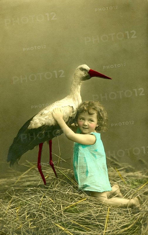 Girl with stork, 1910s, A child embraces a stork in a nest, surrounded by nature, Historical photo