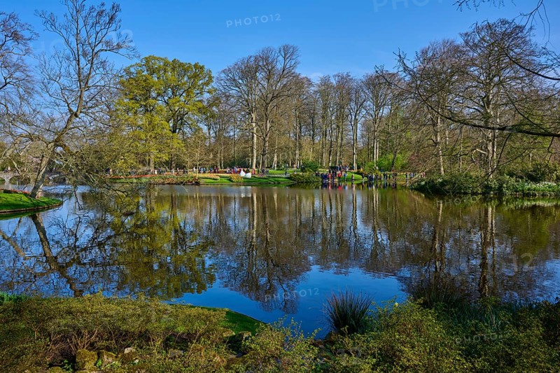 A peaceful park with a large pond in which the trees are reflected, Keukenhof, Lisse, province of South Holland, Netherlands