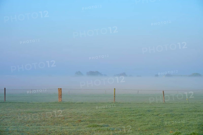 A misty meadow with scattered fences creates a peaceful morning atmosphere, Sassenheim, province of South Holland, Netherlands