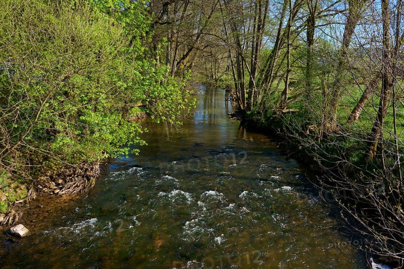A gentle river flows through a green forest landscape in spring, Spring, Jossa, Sinntal, Spessart, Hesse, Germany