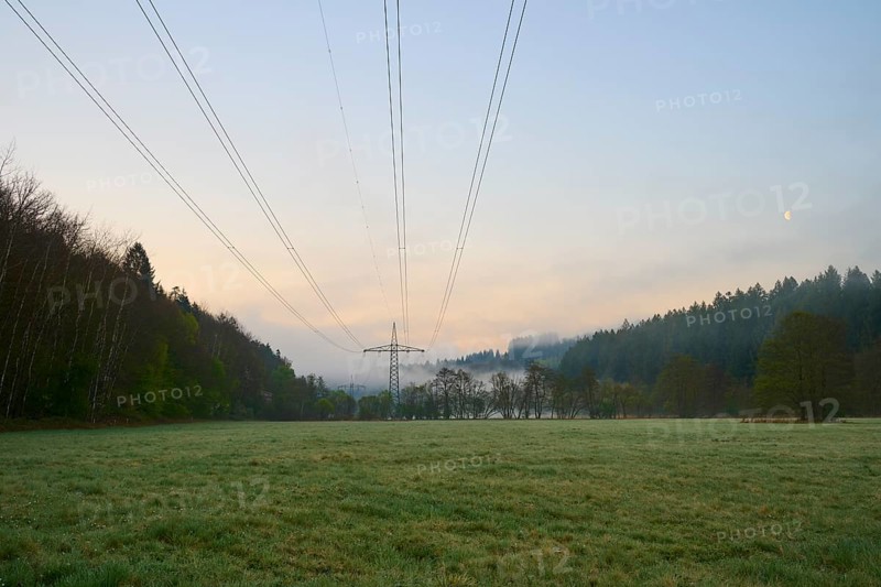 Power lines over a meadow at dawn with forest in the background, spring, Jossa, Sinntal, Spessart, Hesse, Germany