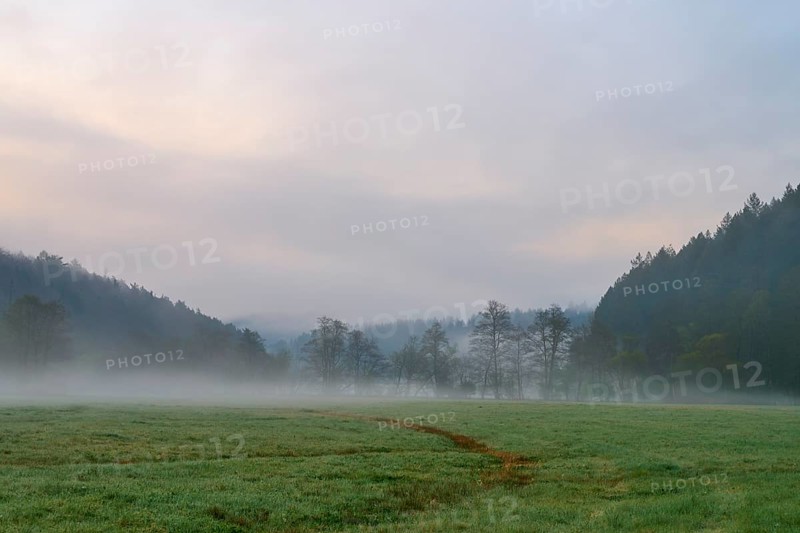 Morning fog over a meadow with trees in the background, quiet and peaceful atmosphere, spring, Jossa, Sinntal, Spessart, Hesse, Germany
