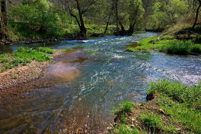 Gently flowing river SInn through a green and peaceful landscape surrounded by trees, spring, Burgsinn, Sinntal, Spessart, Bavaria, Germany