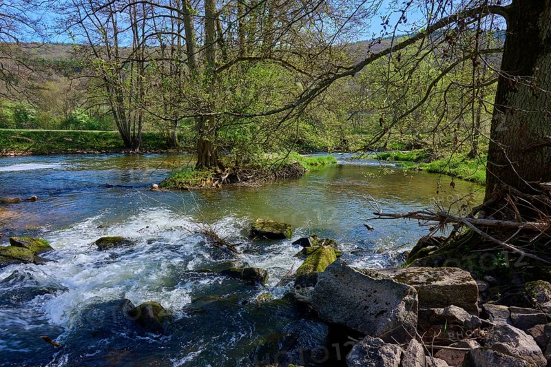 Clear water of a river Sinn flows between lush overgrown banks with trees and stones, spring, Burgsinn, Sinntal, Spessart, Bavaria, Germany