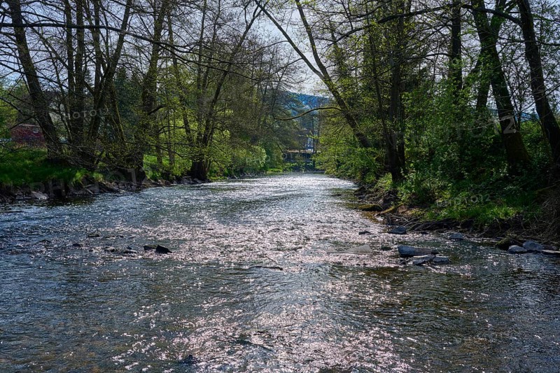 Sunlight glistening on a river, framed by a dense forest area, spring, Obersinn, Sinntal, Spessart, Bavaria, Germany