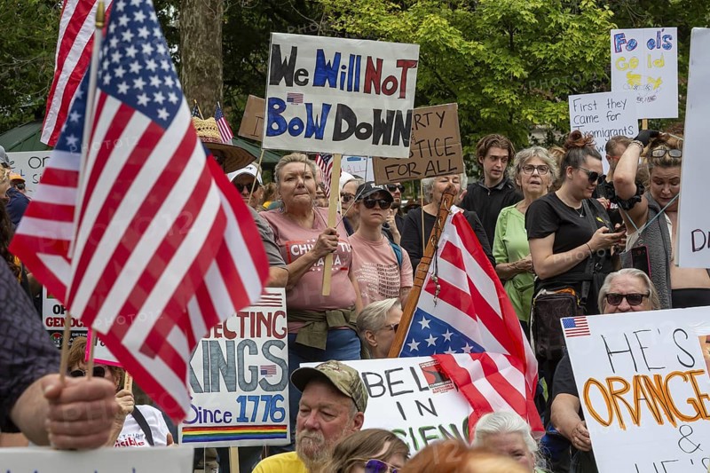 Detroit, Michigan USA - 14 June 2025 - Thousands gathered for a 'No Kings' rally, protesting President Trump's actions against immigrants and against democratic institutions