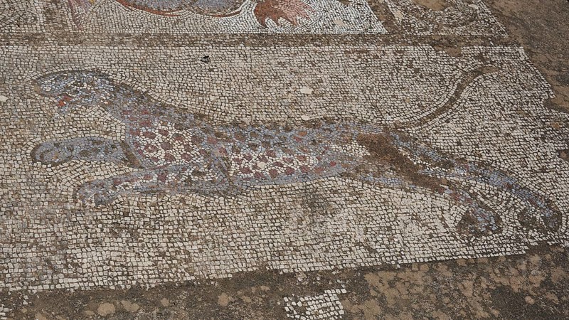 ©Udo Rein, Antique mosaic with a depicted panther on the floor, water basin, Casa Romana, Kos Town, Kos, Dodecanese, Greek Islands, Greece