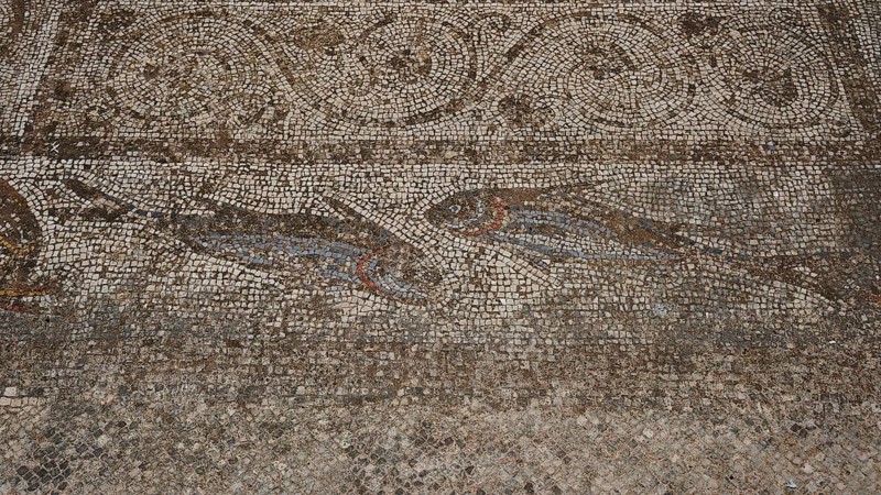 ©Udo Rein, Antique mosaic on a floor with fish images, water basin, Casa Romana, Kos Town, Kos, Dodecanese, Greek Islands, Greece