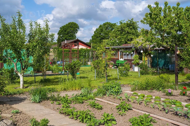 Garden house and fruit trees in allotment garden, allotment garden, garden, spring, Kamen, Ruhr area, North Rhine-Westphalia, Germany