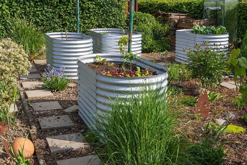 Raised beds with plants in the garden, spring, North Rhine-Westphalia, Germany