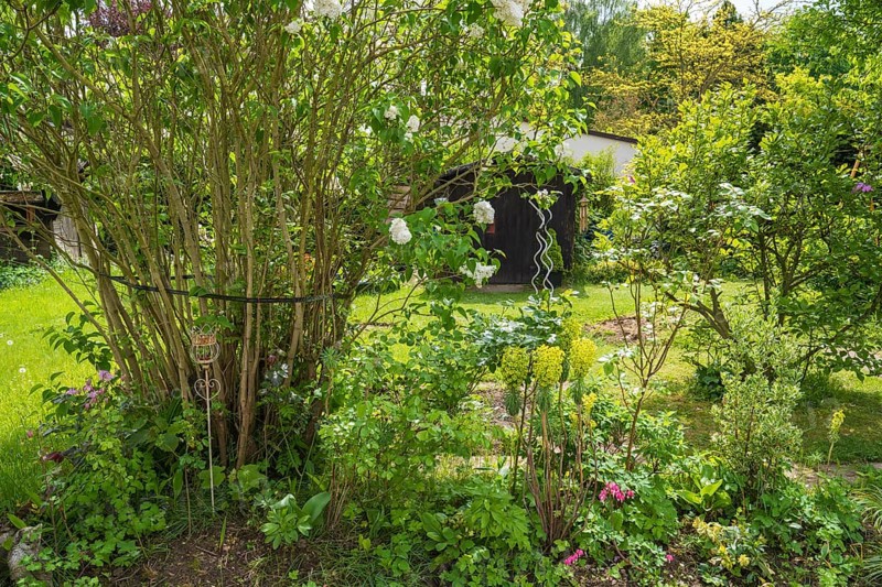 Garden with hut in spring, North Rhine-Westphalia, Germany
