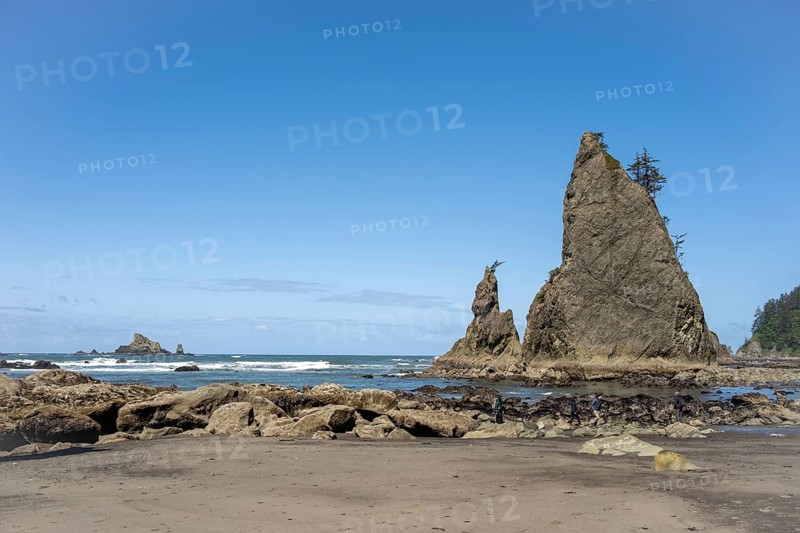 Large rocks protrude from a sandy beach against a clear blue sky, people walk along the shore, Rialto Beach, Olympic National Park, Washington, USA, North America