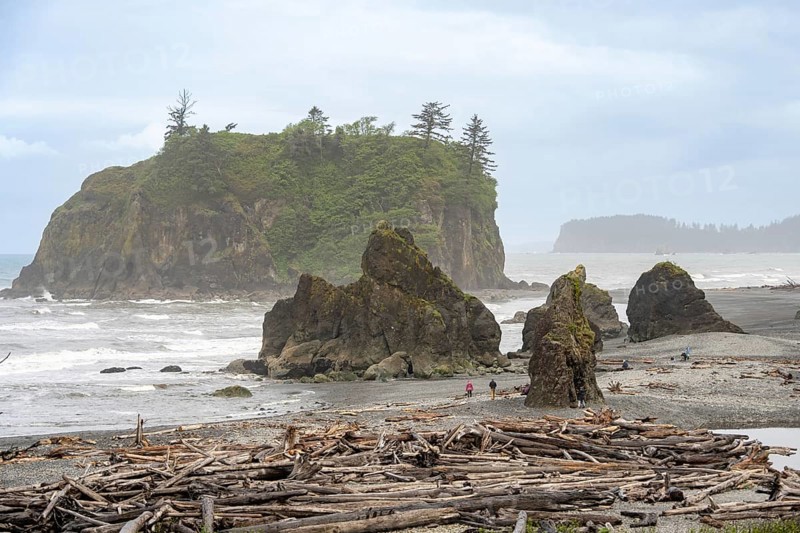 Rocks and driftwood on the beach under a cloudy sky with a small island in the background, Ruby Beach, Olympic National Park, Washington, USA, North America