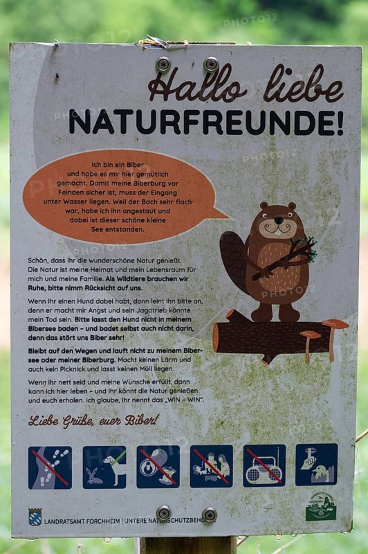 Information board at a stream dammed by beavers, Großenohe, Upper Franconia, Bavaria, Germany