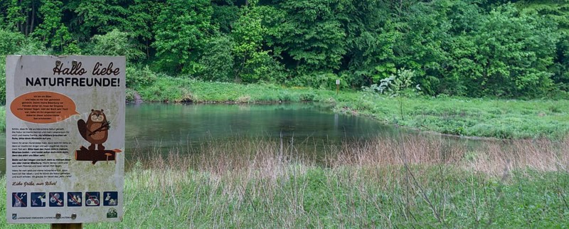 Information board at a stream dammed by beavers, Großenohe, Upper Franconia, Bavaria, Germany