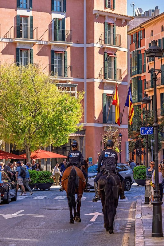 Horses with mounted police on a city street with people and cars, Palma de Mallorca, Mallorca, Spain