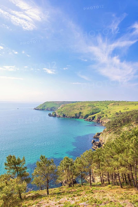 Scenics view at a rocky coastline with pine trees and blue water in the bay with a seascape view to the horizon, Crozon peninsula, Bretagne, France