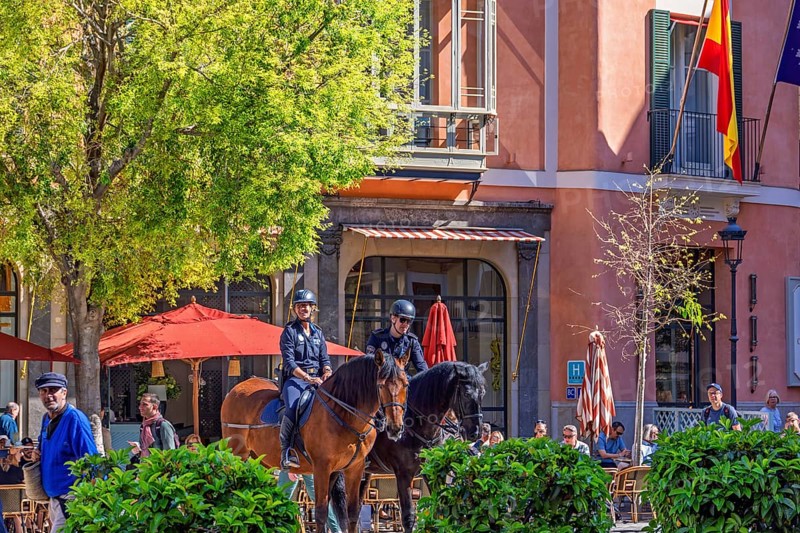 Horses with mounted police in a city square with people and houses with restaurants, Palma de Mallorca, Mallorca, Spain