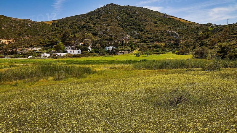 Green landscape with hills and small white houses against a blue sky, Lambi Beach, Lambi Bay, Patmos, Dodecanese, Greek Islands, Greece