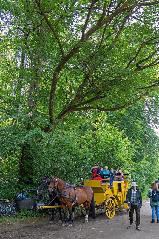 Postillion, passengers, stagecoach, Verein Postkutsche Lüneburger Heide e.V., Klecken, Rosengarten, Lower Saxony, Germany