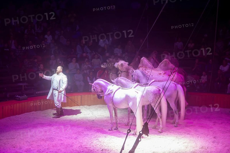 Performance by Circus Barelli in Mannheim***Picture: Animal training with Franz Barelli