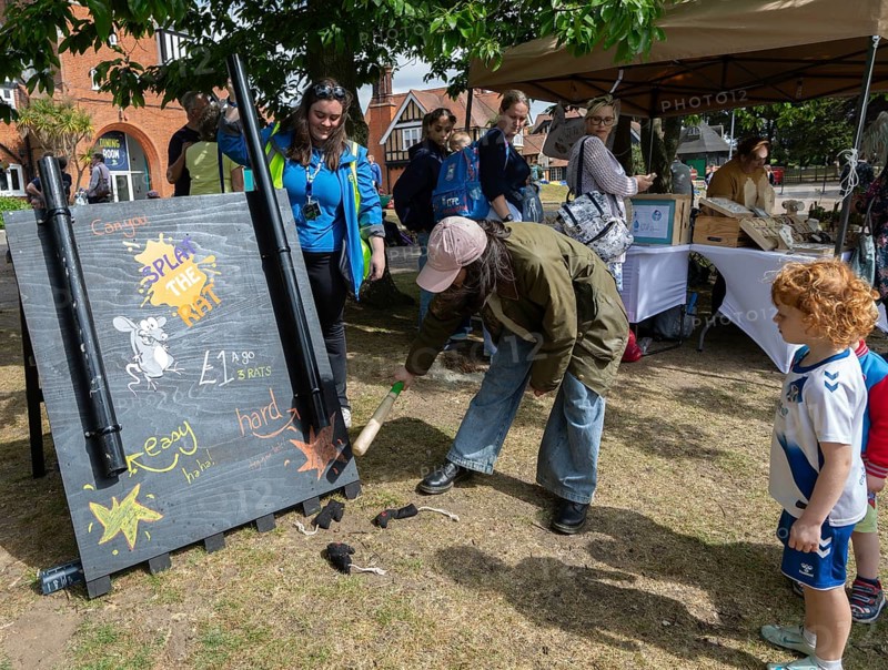 Splat the rat game at village summer fete, Bawdsey, Suffolk, England, UK