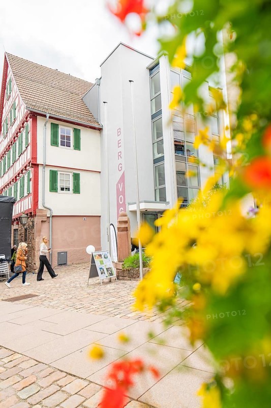 Modern and traditional architecture side by side, colourful flowers in the foreground, family party in Neubulach, district of Calw, Germany