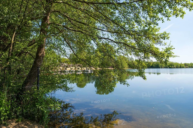 Lippesee, reservoir, tree in the foreground, Sande, Paderborn, Westphalia, North Rhine-Westphalia, Germany
