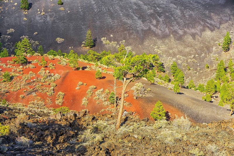 Sunset Crater Volcano National Monument, Flagstaff, Arizona, USA