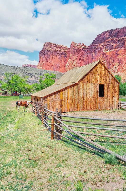 Gifford Farmhouse, Capitol Reef National Park, Utah, USA, North America