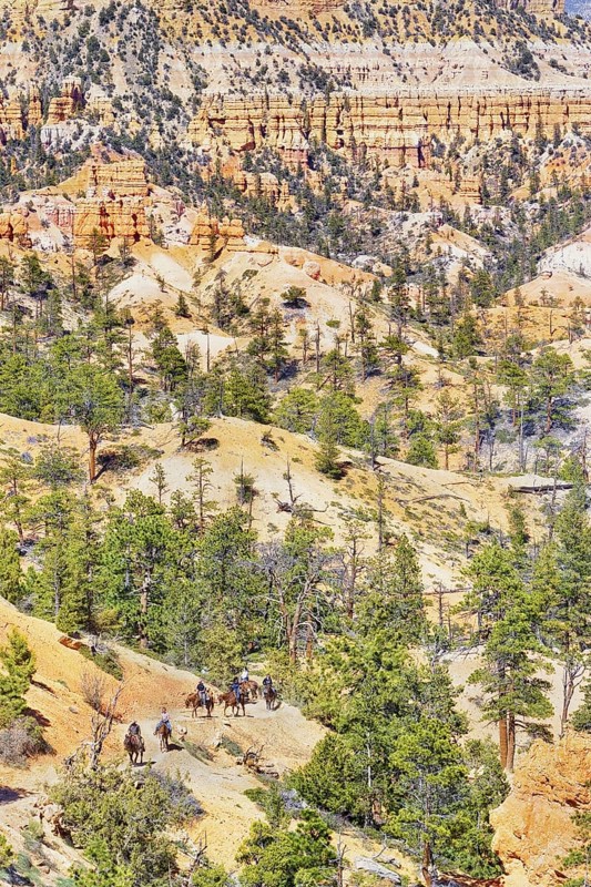 Bryce Canyon, Bryce Canyon National Park, Utah, USA