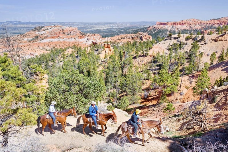 Bryce Canyon, Bryce Canyon National Park, Utah, USA