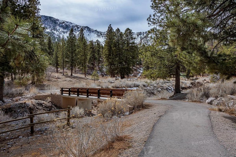 Foot bridge over Kyle Canyon Wash in the Spring Mountains National Recreation Area along the Acastus Trail near Mount Charleston, Nevada, USA