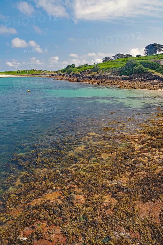 Natural coastline with rocks and trees, turquoise sea and vast sky, St Agnes, Isles of Scilly, Cornwall, England, United Kingdom