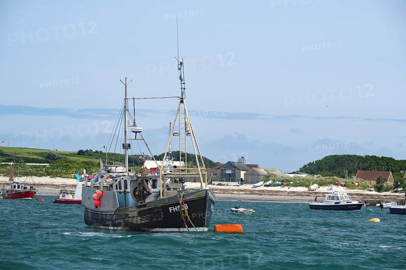 Fishing boat on the sea near the coast, surrounded by smaller boats, Hugh town, Isles of Scilly, Cornwall, England, United Kingdom
