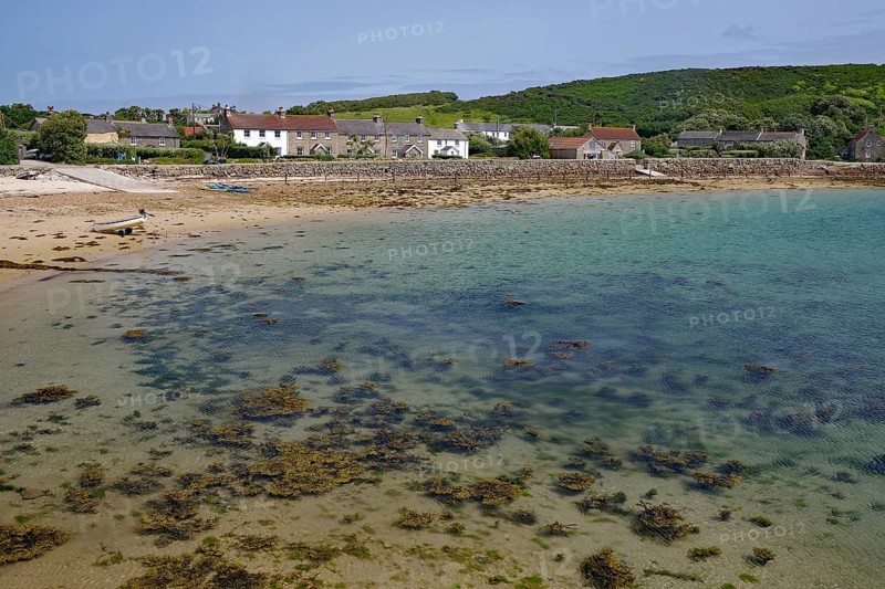 Beach with seaweed, calm sea and houses in the background under blue sky, Tresco, Isles of Scilly, Cornwall, England, United Kingdom