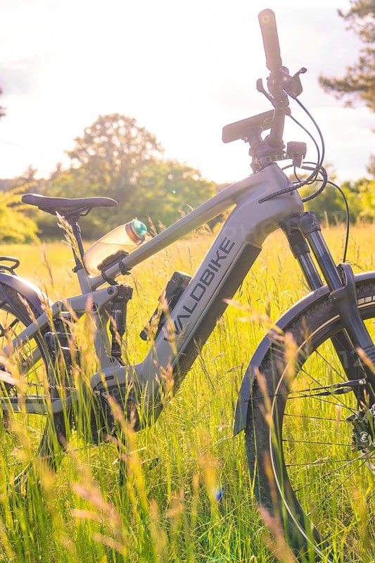 A bicycle in the tall grass shines in the warm sunlight of a summer's day, e-bike excursion, Gechingen, Calw district, Germany