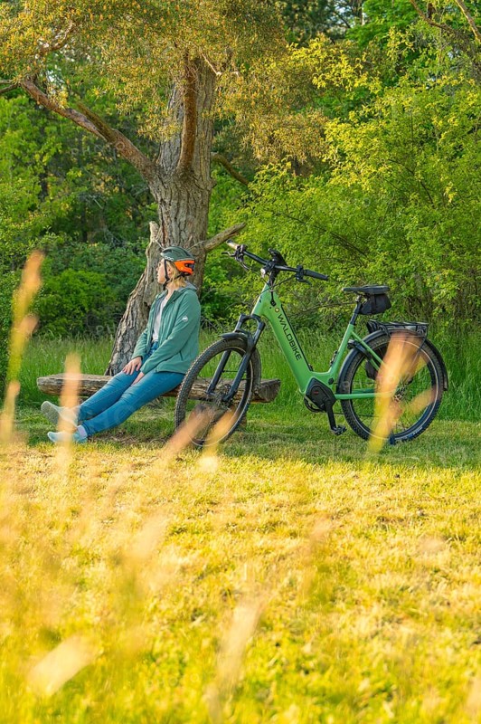 A person sits on a bench under a tree next to a bicycle in nature, e-bike excursion, Gechingen, district of Calw, Germany