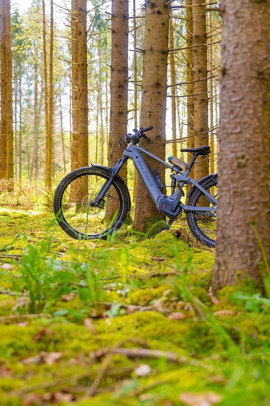 A bicycle stands in the quiet, moss-covered forest, surrounded by tall trees, e-bike excursion, Gechingen, Calw district, Germany