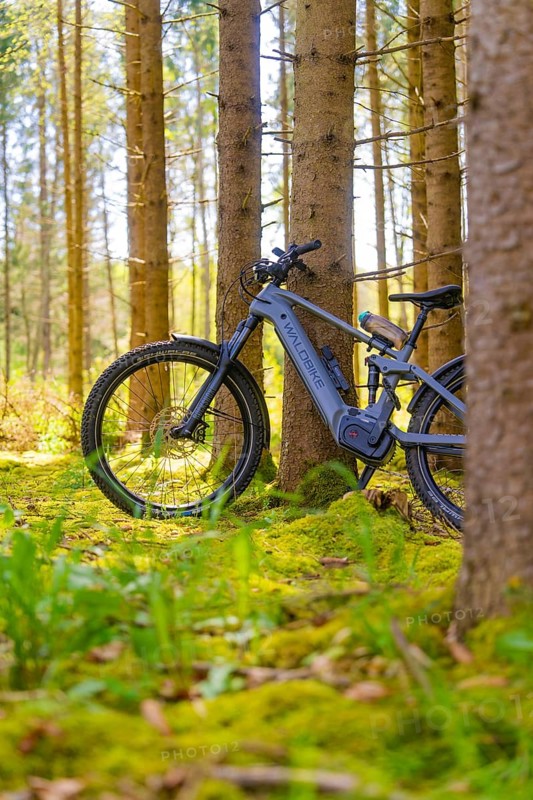 A grey-blue bicycle leaning against a tree in the moss-covered forest, e-bike excursion, Gechingen, district of Calw, Germany