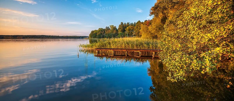 Evening at the lake in autumn, Steg in the Reeds, Großer Lychensee, Lychen, Uckermark, Brandenburg, Germany