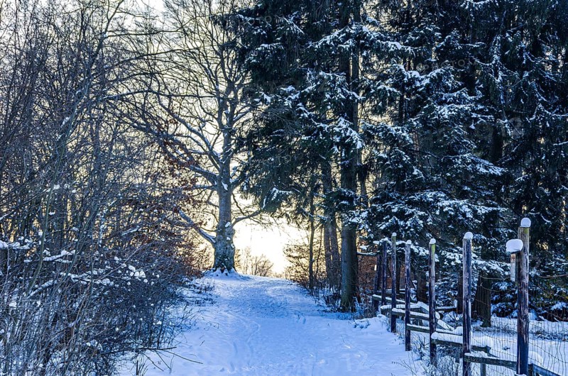 Light at the end of the trail, snowy forest trail after the onset of winter in the Swabian Jura, Baden-Württemberg, Germany