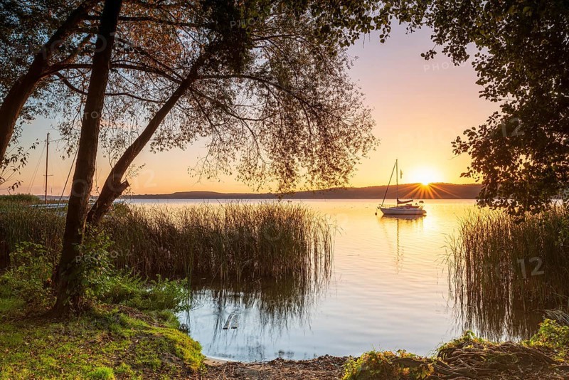 Sunrise at a swimming area on Schwielowsee near Potsdam, sailboat anchored in water, reeds and trees on the shore, Brandenburg, Germany