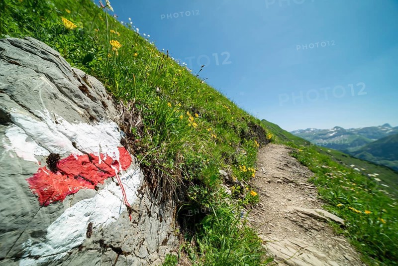 Trail marker on the Laufbacher-Eckweg, a demanding high-altitude hiking trail from Höfatsblick mountain station to Oytal, Allgäu Alps, Allgäu, Bavaria, Germany
