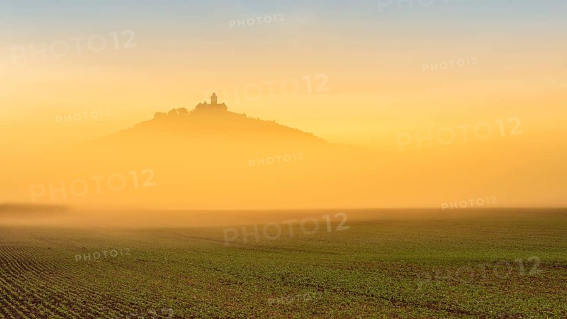 The silhouette of Wachsenburg Castle rises out of the fog at sunrise, Castle of the Three Gleichen Castle Ensemble, Thuringian Burgenland, Mühlberg, Thuringia, Germany