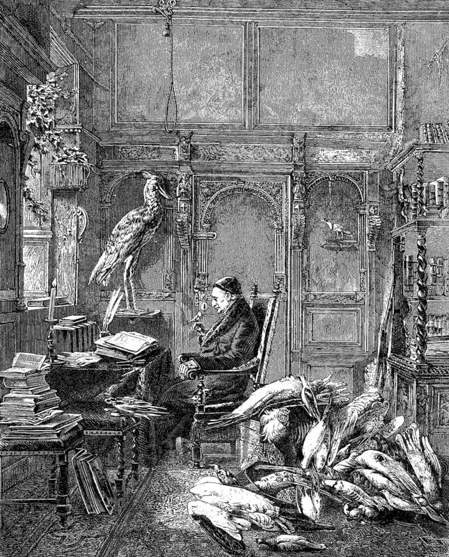 Alfred Edmund Brehm, 1829-1884, was a German zoologist and writer, woodcut from 1864